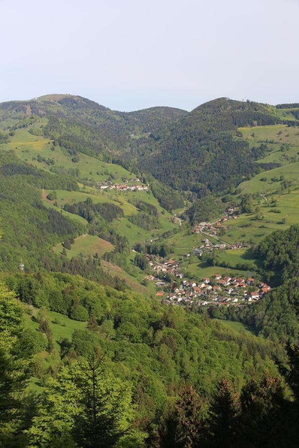 Hotel Kirchbuehl Im Schwarzwald Hotel Schönau im Schwarzwald المظهر الخارجي الصورة